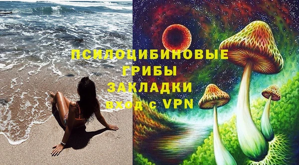 индика Алексеевка