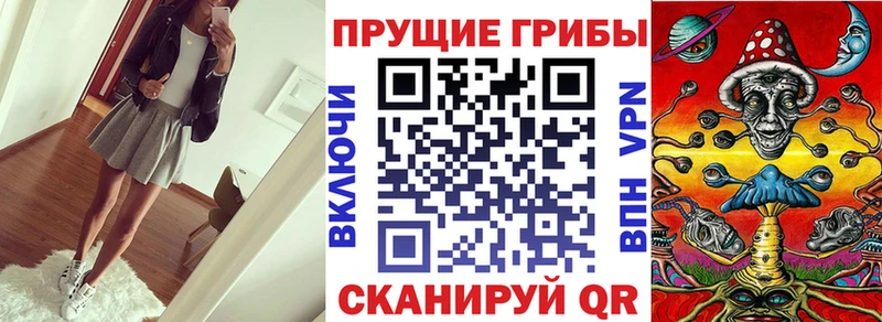Псилоцибиновые грибы Magic Shrooms  Тотьма 